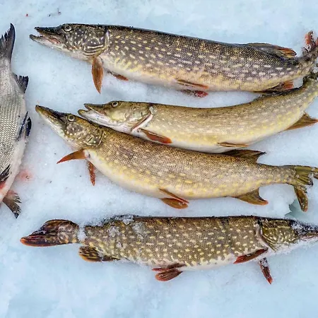 Сasa de vacaciones Rukaniemen Kontio By Interhome