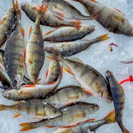 Сasa de vacaciones Rukaniemen Kontio By Interhome *