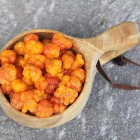 Сasa de vacaciones Rukaniemen Kontio By Interhome